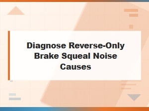 Causes of Reverse-Only Brake Squeal Noise